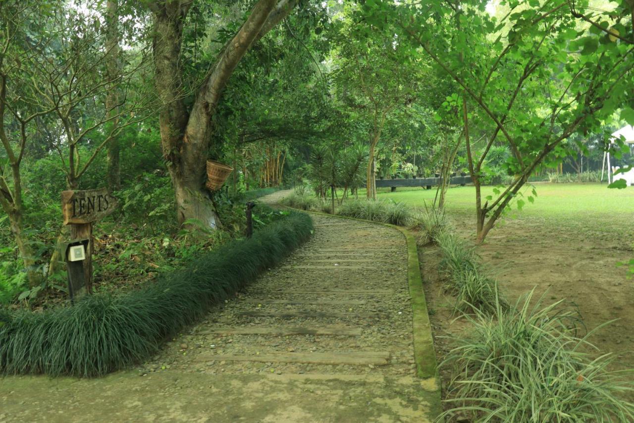 Jagatpur Lodge Khargauli Exteriör bild